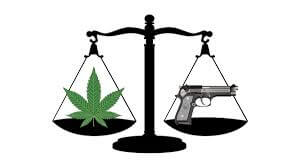 Medical Marijuana and possessing firearms