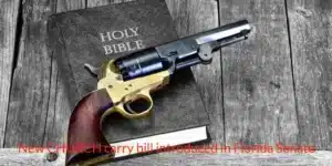 Gun on a Bible