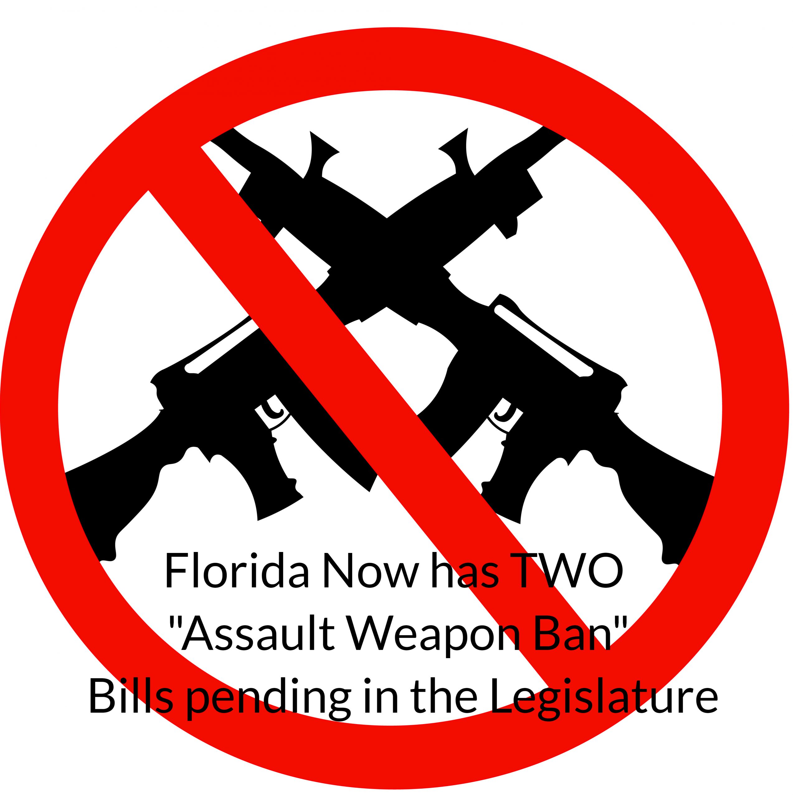 Assault Weapon Ban