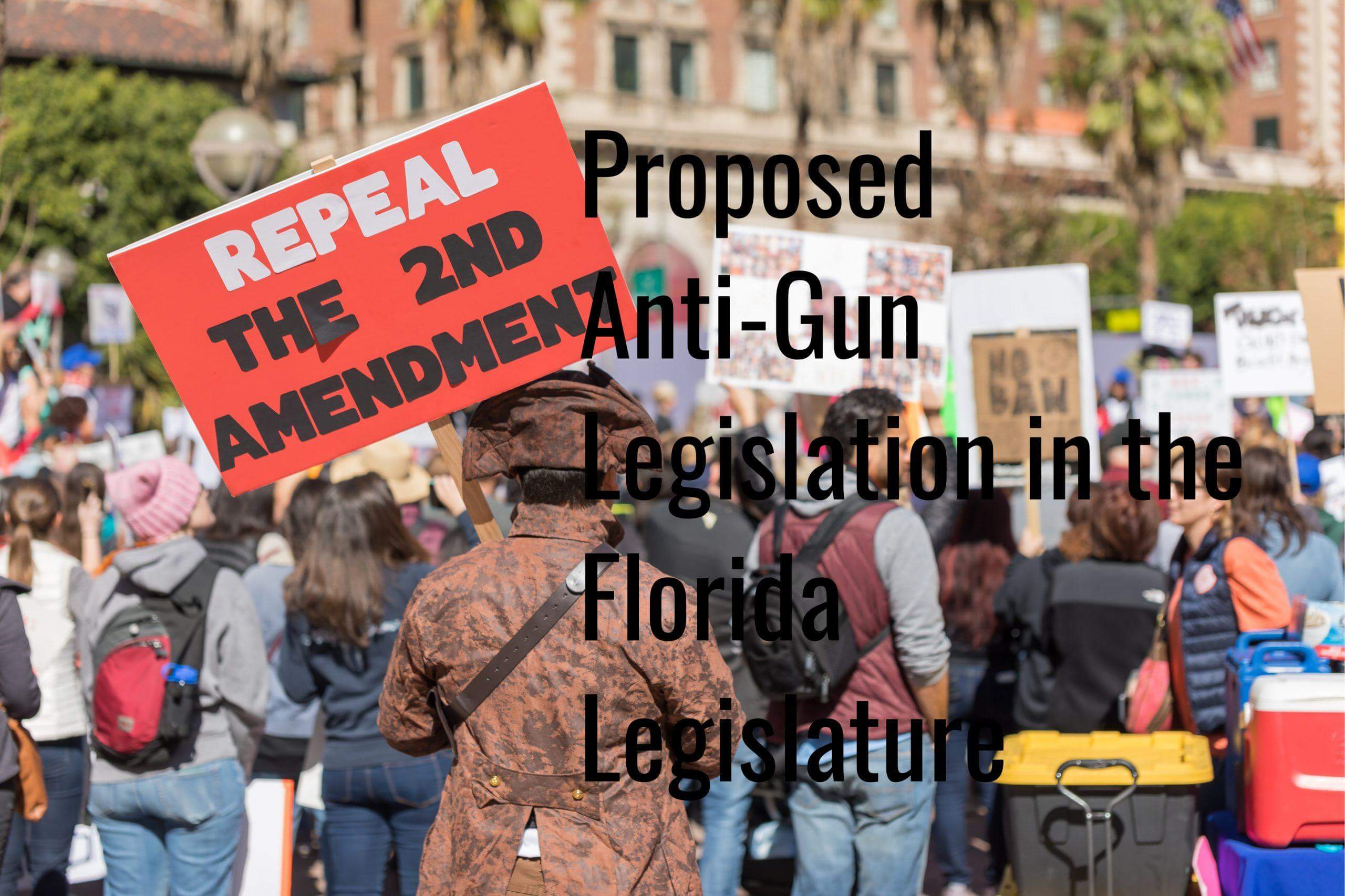 Repeal 2nd Amendment Protest