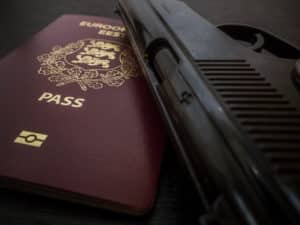 NonCitizen possess firearms