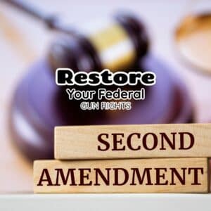Gun Right Restoration on gavel for second Amendment